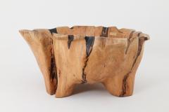 Logniture Live Edge Bathtub Carved from Single Piece of Wood Fully Functional Logniture - 4306298