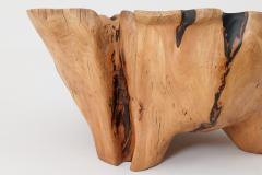  Logniture Live Edge Bathtub Carved from Single Piece of Wood Fully Functional Logniture - 4306301