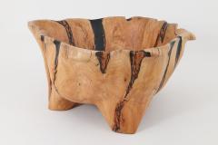  Logniture Live Edge Bathtub Carved from Single Piece of Wood Fully Functional Logniture - 4306302