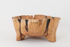  Logniture Live Edge Bathtub Carved from Single Piece of Wood Fully Functional Logniture - 4306303