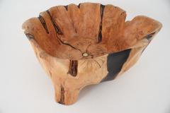  Logniture Live Edge Bathtub Carved from Single Piece of Wood Fully Functional Logniture - 4306304