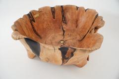  Logniture Live Edge Bathtub Carved from Single Piece of Wood Fully Functional Logniture - 4306305
