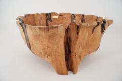  Logniture Live Edge Bathtub Carved from Single Piece of Wood Fully Functional Logniture - 4306306