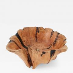  Logniture Live Edge Bathtub Carved from Single Piece of Wood Fully Functional Logniture - 4306439