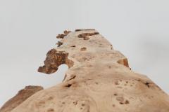  Logniture Live Edge Burl Wood Console Table Organic Modern Handmade - 4455782