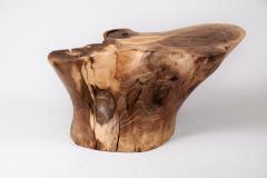  Logniture Solid Wood Sculptural Side Table Original Contemporary Design Log Carving - 3329539