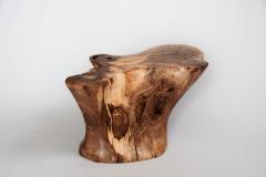 Logniture Solid Wood Sculptural Side Table Original Contemporary Design Log Carving - 3329548