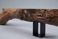  Logniture Wabi Sabi Bench Brutalist Walnut Outdoor Indoor Natural and Eco Friendly - 3651797