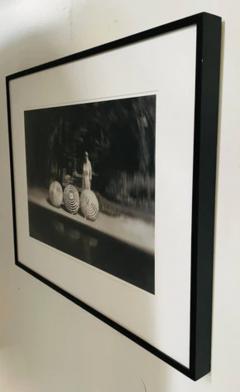  Luciana Pampalone Modern Genre Photography Print Titled Bobbis Ghost Limited Edition - 2873753