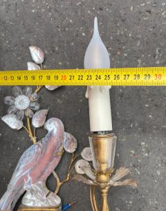  Maison Bagu s 1970 50 Pair of Wall Lights with Parakeet Placed on a Sheath Maison Bagu s - 4254230