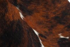  Mariani Guido Faleschini for Mariani Tucroma Lounge Chair Ottoman Italy c 1960 - 4463906