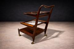  Martin Eisler Carlo Hauner Bar Cart in Rosewood Glass Carlo Hauner and Martin Eisler 1950s - 4546559