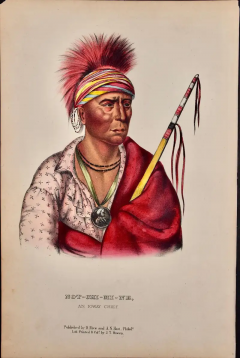  McKenney Hall Not Chi Mi Ne An ioway Chief Original Hand colored McKenney Hall Lithograph - 2839589