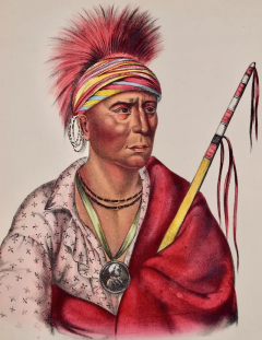  McKenney Hall Not Chi Mi Ne An ioway Chief Original Hand colored McKenney Hall Lithograph - 2839592
