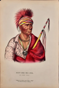  McKenney Hall Not Chi Mi Ne An ioway Chief Original Hand colored McKenney Hall Lithograph - 2840176