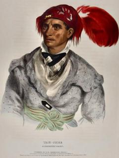  McKenney Hall Tah Chee Cherokee Chief 19th C Folio Hand colored McKenney Hall Lithograph - 3019761