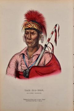  McKenney Hall Tah Ro Hon An Ioway Warrior Original Hand colored McKenney Hall Lithograph - 2839587