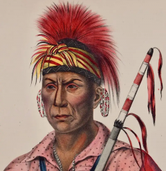  McKenney Hall Tah Ro Hon An Ioway Warrior Original Hand colored McKenney Hall Lithograph - 2839590