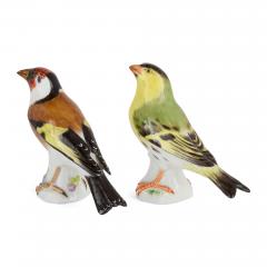  Meissen Porcelain Manufactory Collection of four Meissen porcelain bird models - 4113628