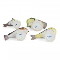  Meissen Porcelain Manufactory Collection of four Meissen porcelain bird models - 4113629