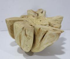  Mimi London Co Large Single Cypress or Maple Trunk Table Mimi London Style - 4548741