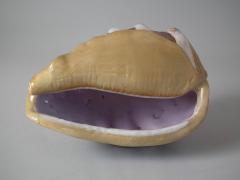  Minton Minton Majolica Conch Shell Spoon Warmer - 1804472