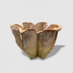  Oak Design Studios AGAVE Terracotta garden pots with natural patina - 2099215