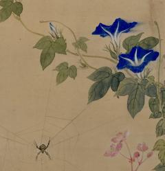  Obata Tosho Mid 19th Century Framed Japanese Painting Spider Morning Glory  - 3848038