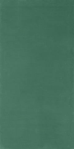  Olivier Mosset Monochrome Vert - 3597626