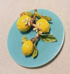  Palissy Ware Palissy Majolica 40 Majolica French Menton  - 4614636