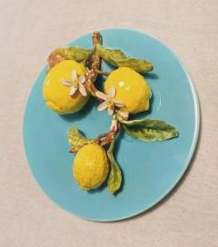  Palissy Ware Palissy Majolica 40 Majolica French Menton  - 4614639