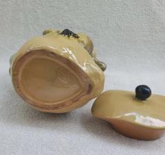  Palissy Ware Palissy Majolica 42 Portuguese Palissy majolica jar very rare piece  - 4619179