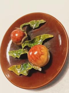  Palissy Ware Palissy Majolica 70 Portuguese Palissy majolica plate  - 4663009