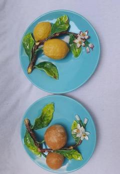  Palissy Ware Palissy Majolica 73 Palissy Majolica French menton pair dishes - 4688588