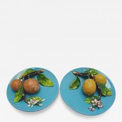  Palissy Ware Palissy Majolica 73 Palissy Majolica French menton pair dishes - 4688608