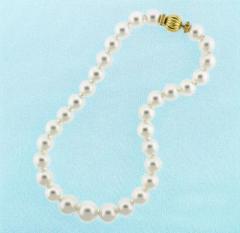  Pampillonia Graduated South Sea Pearl Necklace - 3913501