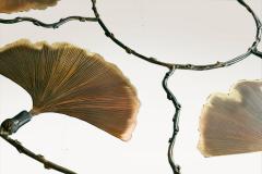  Patricia Lemaire Ginko 2 - 4466493