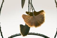  Patricia Lemaire Ginko la chute - 4466485