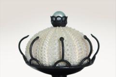  Patricia Lemaire Wonders of Eggs 2021 2 - 4466535