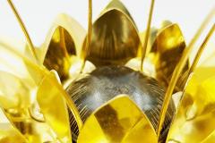  Patricia Lemaire Wonders of Eggs 2021 5 - 4466521