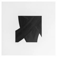  Patrick Carrara Patrick Carrara Black Ink on Mylar Drawing Triptych Appearance Series 2017 - 3533730