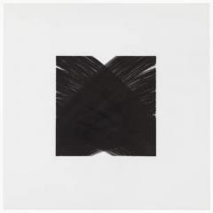  Patrick Carrara Patrick Carrara Black Ink on Mylar Drawings Appearance Series 2014 2017 - 3533737