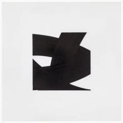  Patrick Carrara Patrick Carrara Black Ink on Mylar Drawings Appearance Series 2014 2017 - 3533739