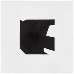  Patrick Carrara Patrick Carrara Black Ink on Mylar Drawings Appearance Series 2014 2017 - 3533741