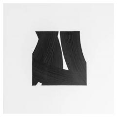  Patrick Carrara Patrick Carrara Black Ink on Mylar Drawings Appearance Series 2016 2017 - 3533749