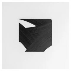  Patrick Carrara Patrick Carrara Black Ink on Mylar Drawings Appearance Series 2016 2017 - 3533728