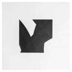  Patrick Carrara Patrick Carrara Black Ink on Mylar Drawings Appearance Series 2016 2017 - 3533758