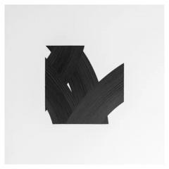  Patrick Carrara Patrick Carrara Black Ink on Mylar Drawings Appearance Series 2017 - 3533753