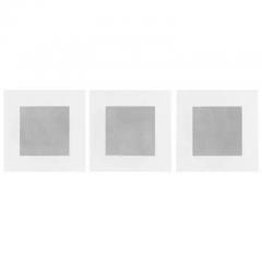  Patrick Carrara Patrick Carrara Garden of Silence Triptych Graphite on Paper 2009 - 3535263