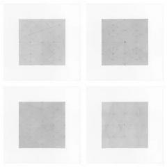  Patrick Carrara Patrick Carrara Graphite on Magni Drawings Garden of Silence Series 2009 - 3533823